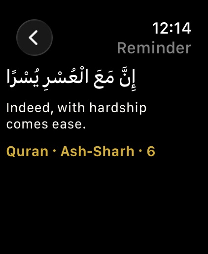 Daily content on Apple Watch